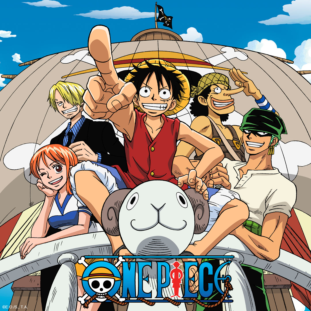 Want to start the OnePiece anime : r/OnePiece