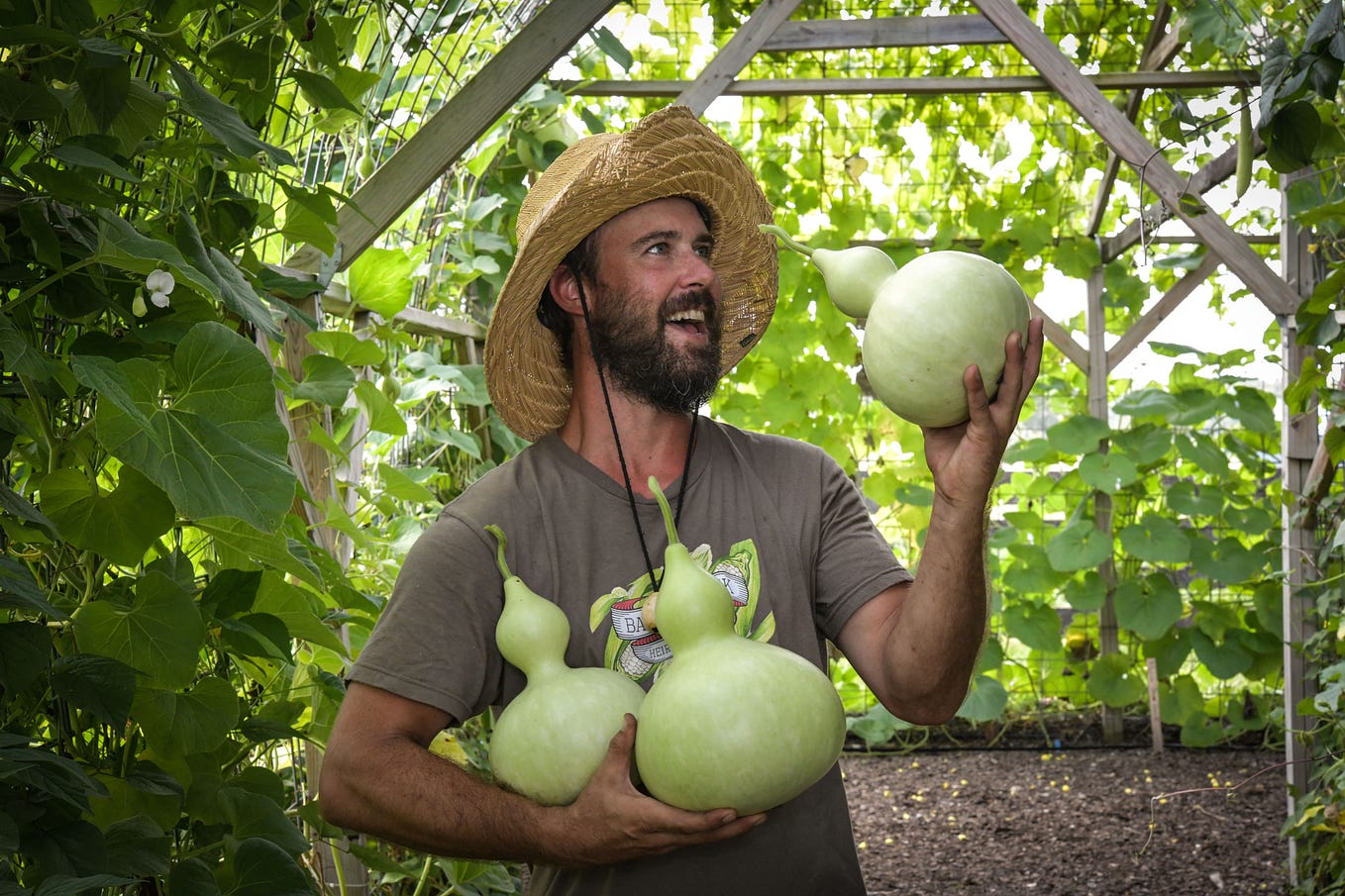 A man in a greenhouse, wearing a straw hat, holds and admires vegetables.