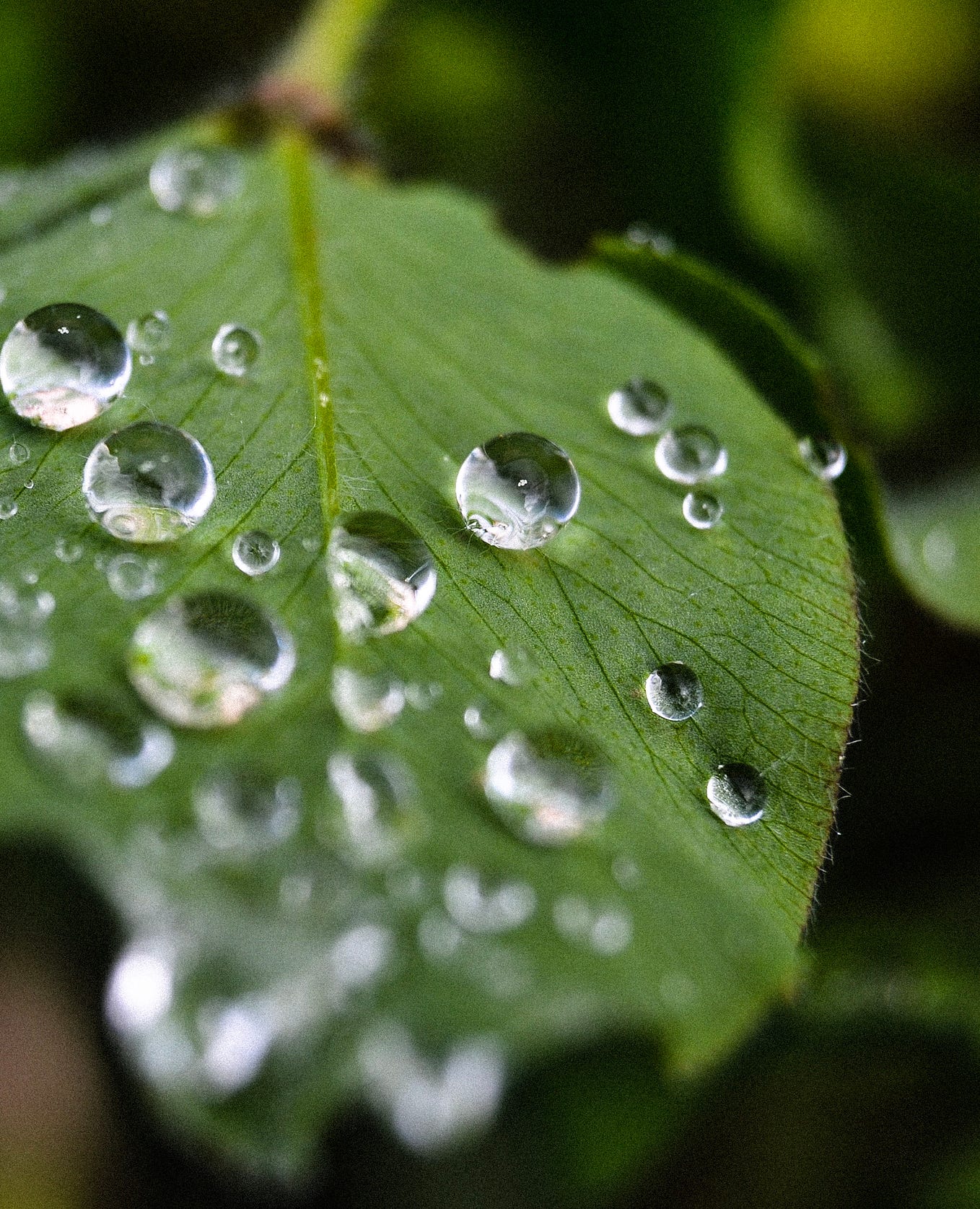 Super hydrophobic coatings, What are they and how they work