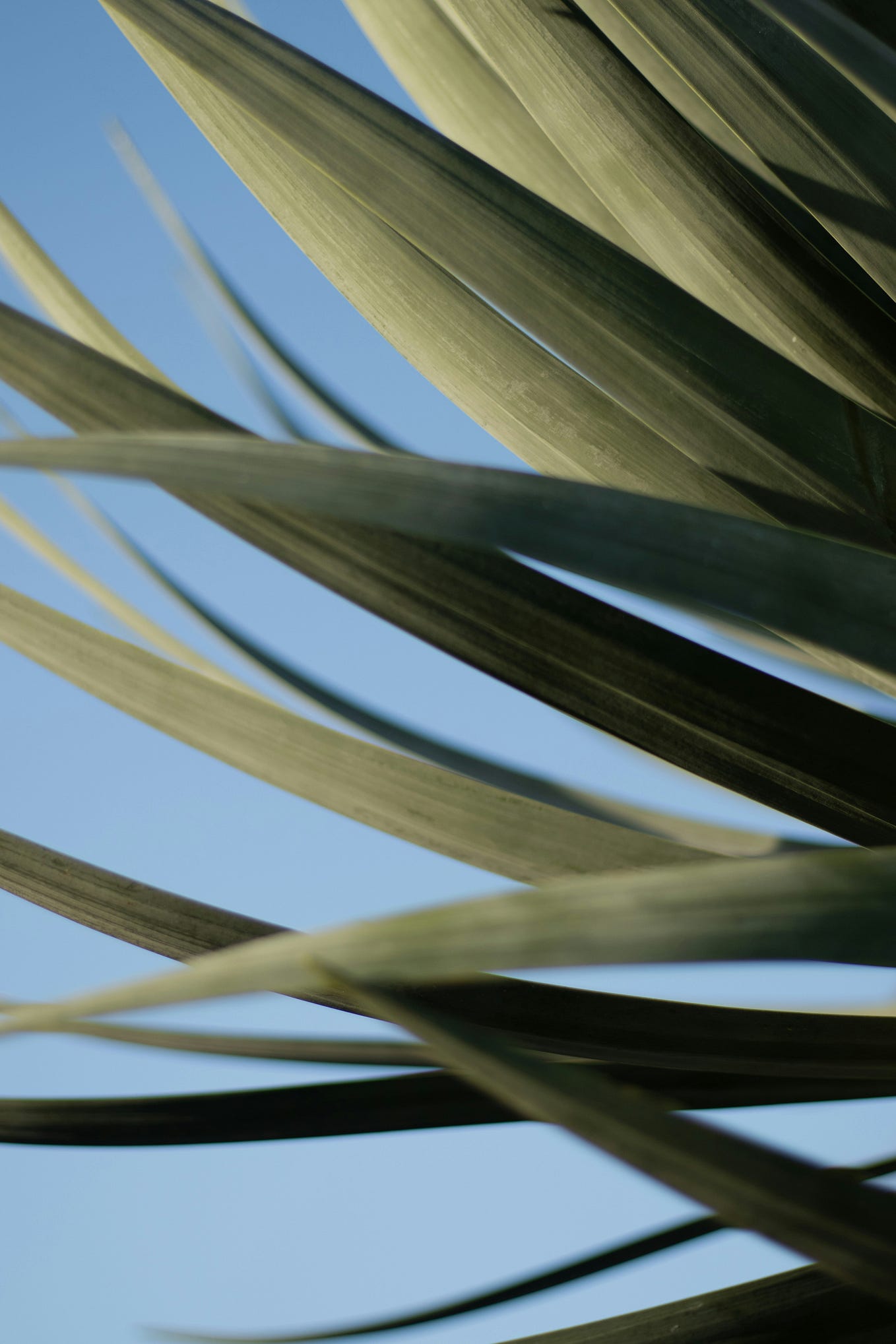 Mega Slots Game Customer Care Number ️8016442315☎️ Xbxbhx vexasar Medium