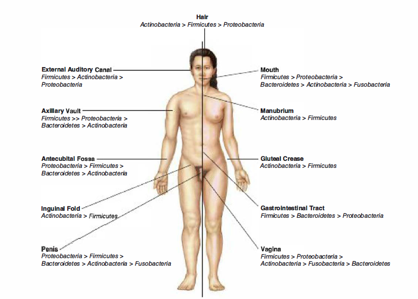 Top Research Areas In Demand — Microbiology Note by Sourav Pan Medium