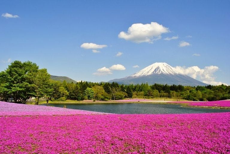 Best Credit Card for Japan Travel Top Picks for 2023! by Tadiredhwk