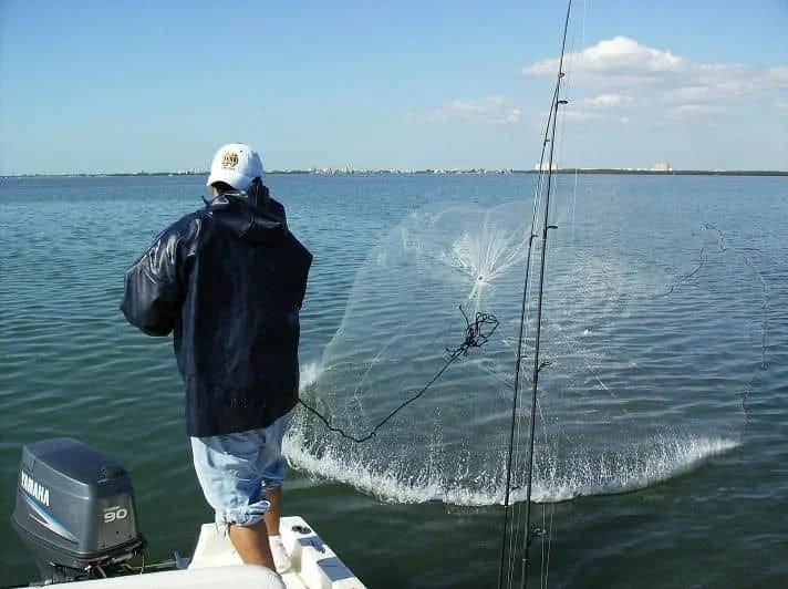 The Pros And Cons Of Doing Chest Binders by Mosesvasiliev Medium