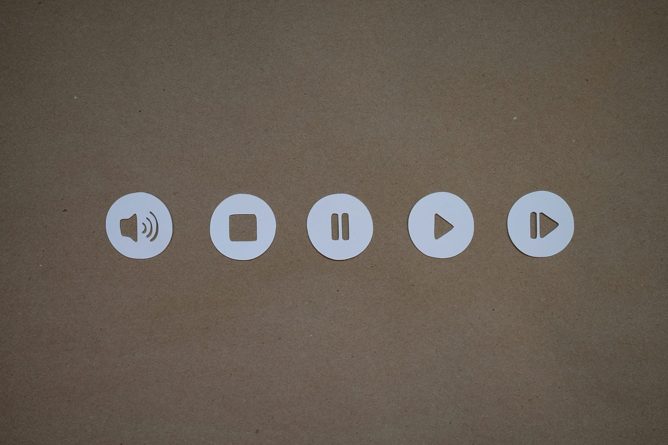 How to Build SVG Code and SVG Animations | by Amelia Ruzek | Code Like ...