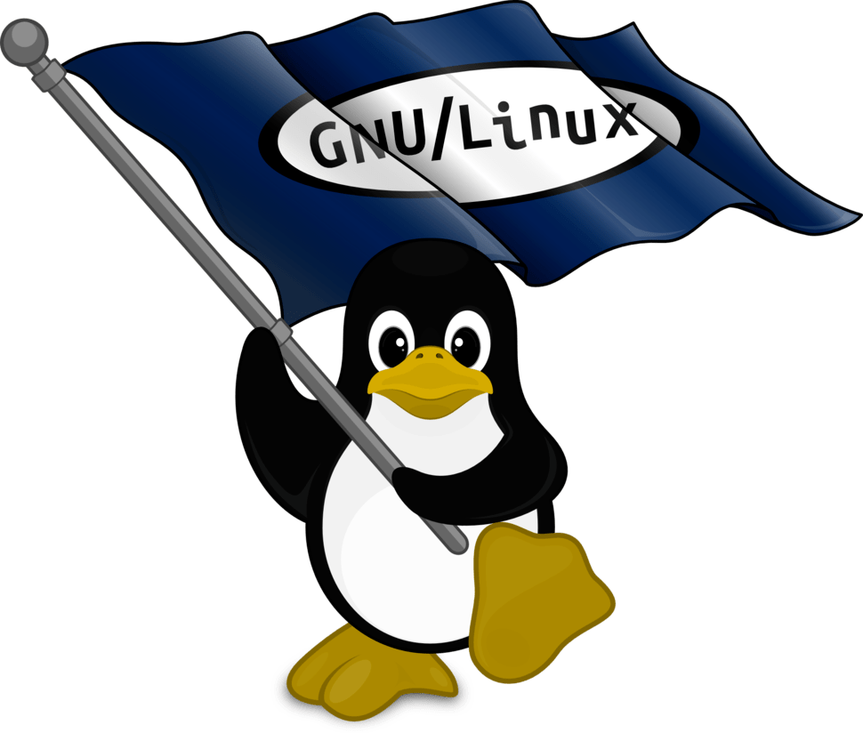 Basics of Linux. Linux is a Unix-like operating system… | by Pratik ...