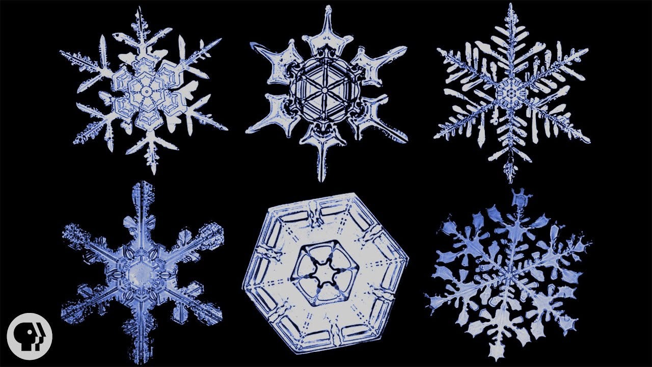 How snowflakes form and why two never look the same