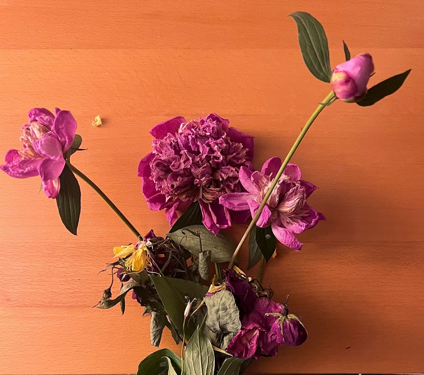 Sunday Poem 2024 1 28: Just Sitting | by Peter J. Ryan | Medium