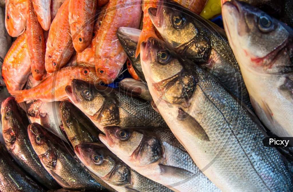 Fish Market in Thane West. Fish Market in Thane West, Patlipada… by