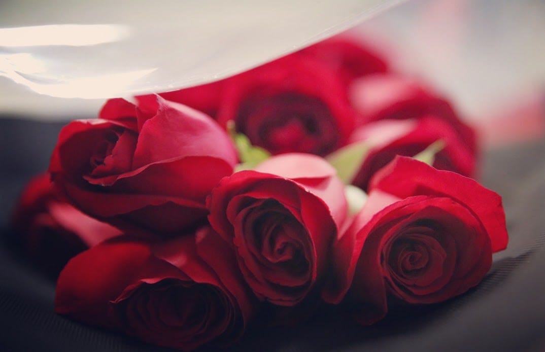 15 Flowers For Boyfriend To Show Your Love - SnapBlooms Blogs