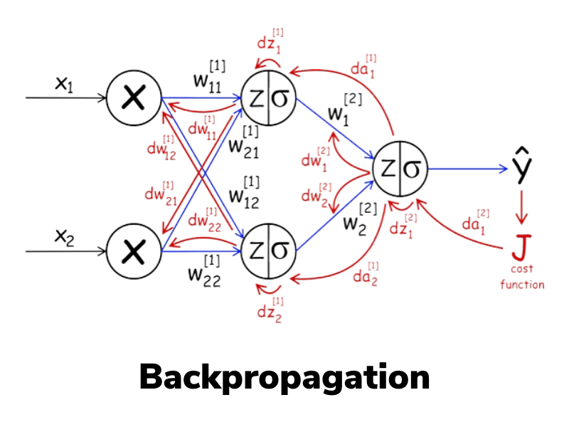 Backpropagation In Neural Networks A Comprehensive Guide By Tamanna 