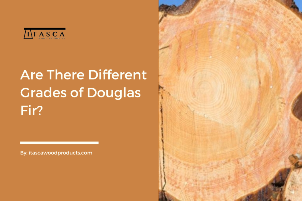Is Douglas Fir Toxic to Humans?. Douglas Fir is a widely known and… by Itasca Wood Products