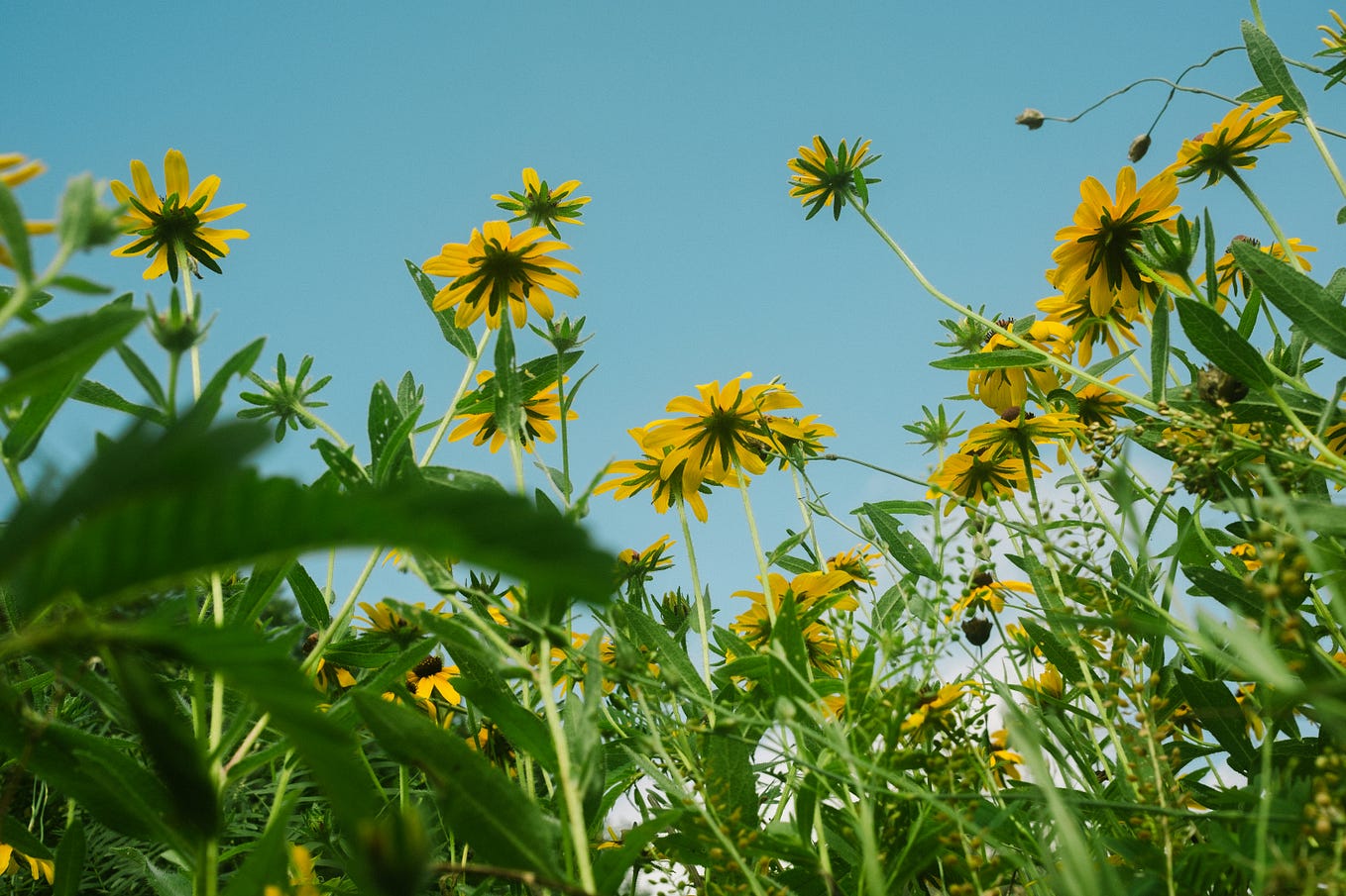 𝙄𝙣𝙙𝙞𝙜𝙤 𝘾𝙪𝙨𝙩𝙤𝙢𝙚𝙧"𝙘𝙖𝙧𝙚 𝙃𝙚𝙡𝙥𝙡𝙞𝙣𝙚,, 𝙣𝙪𝙢𝙗𝙚𝙧 ️9831230759₹{9831230759}📞24×