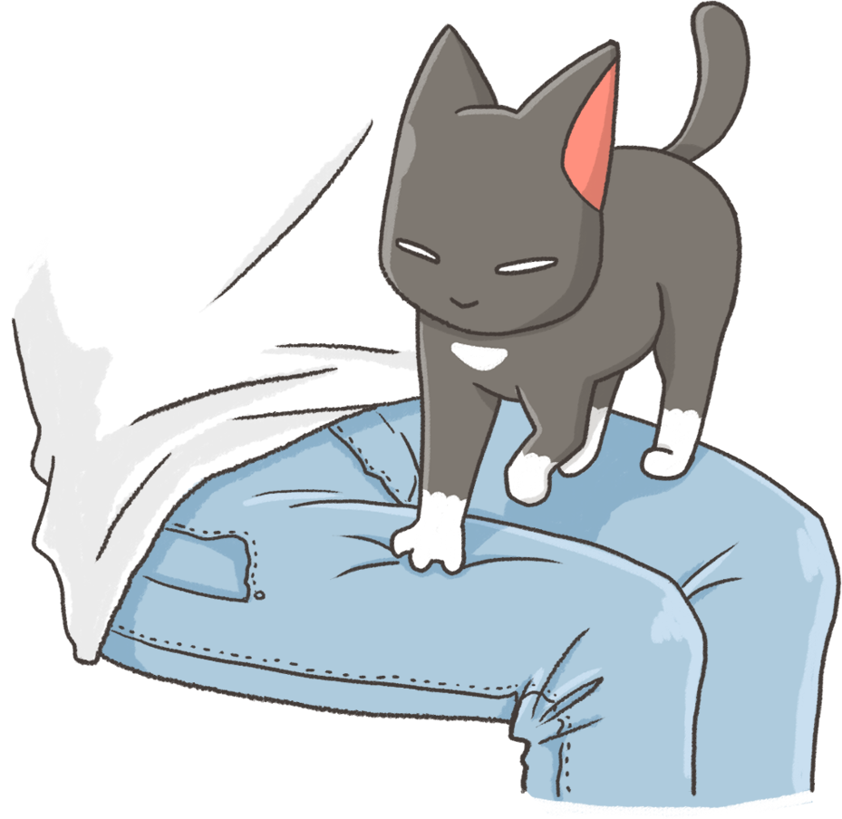 How Do Cats Comfort Humans? Exploring Their Emotional Connection by