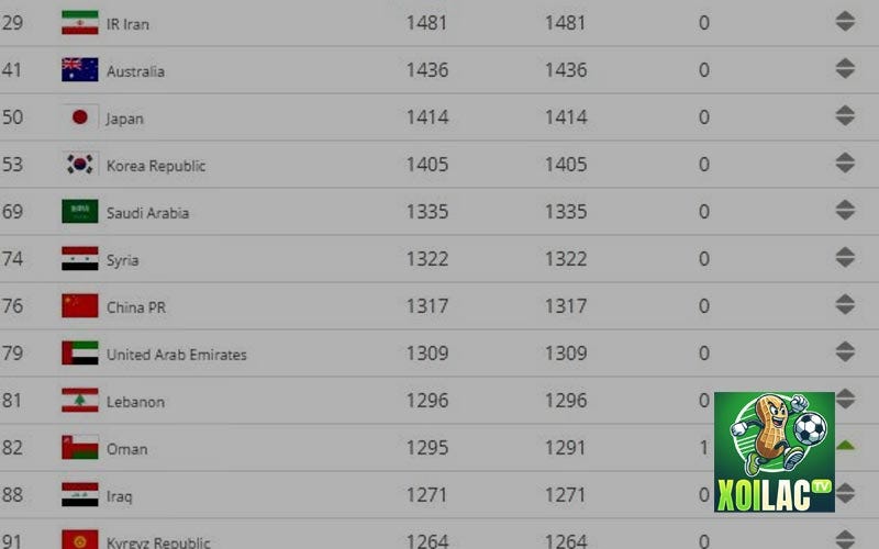 Tim hieu clb porto va nhung thong tin ban can biet 2024 by xoilactvla