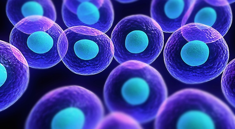 Stem Cells: Future of Therapeutics