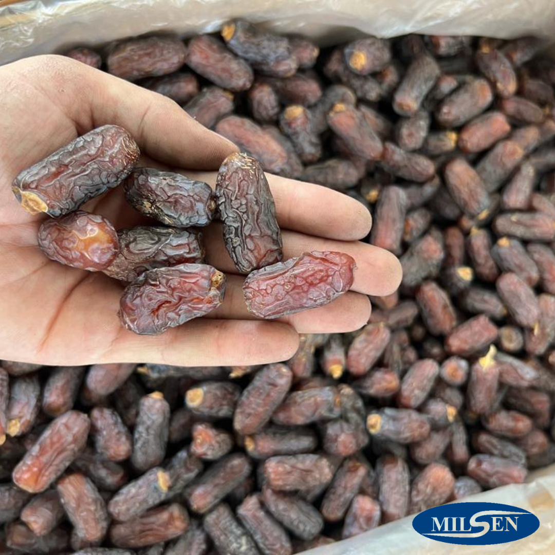 What is Rabbi Dates?. Rabbi dates, also known as Algerian… by Milsen Group Dates Supplier
