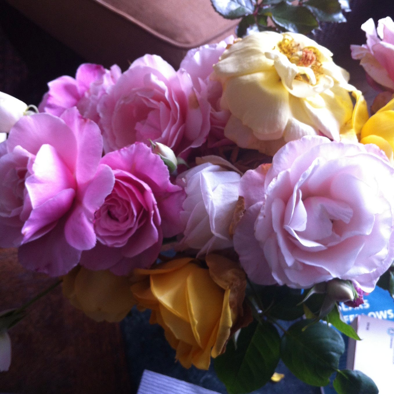 The Word “Sonder”. Its meaning, a poetic example, and a… | by John ...