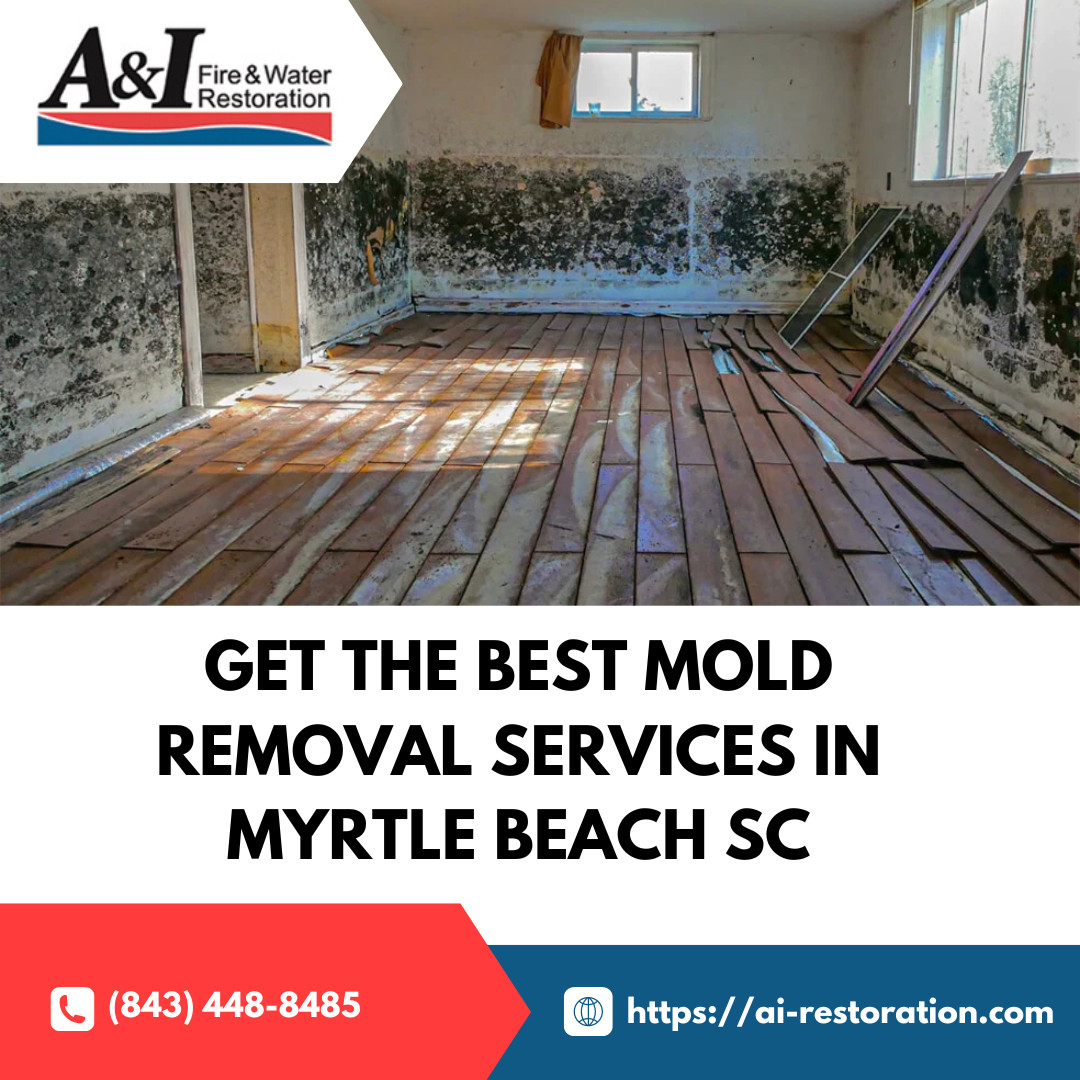 Professional Mold Removal Services in Myrtle Beach, SC A and I Fire