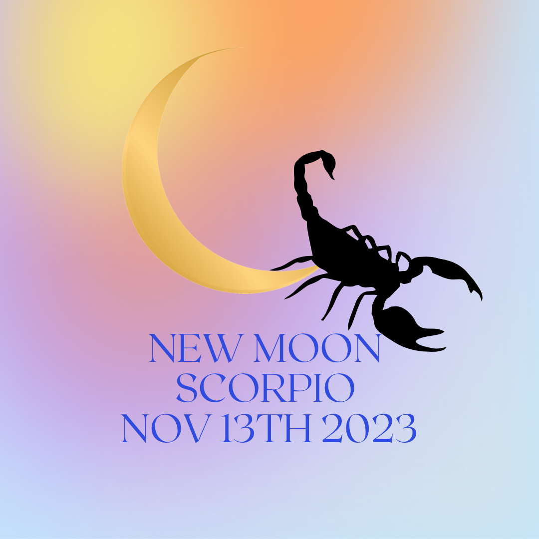 Notes on the New Moon in Scorpio — 11/13/23 at 427am EST by Emily