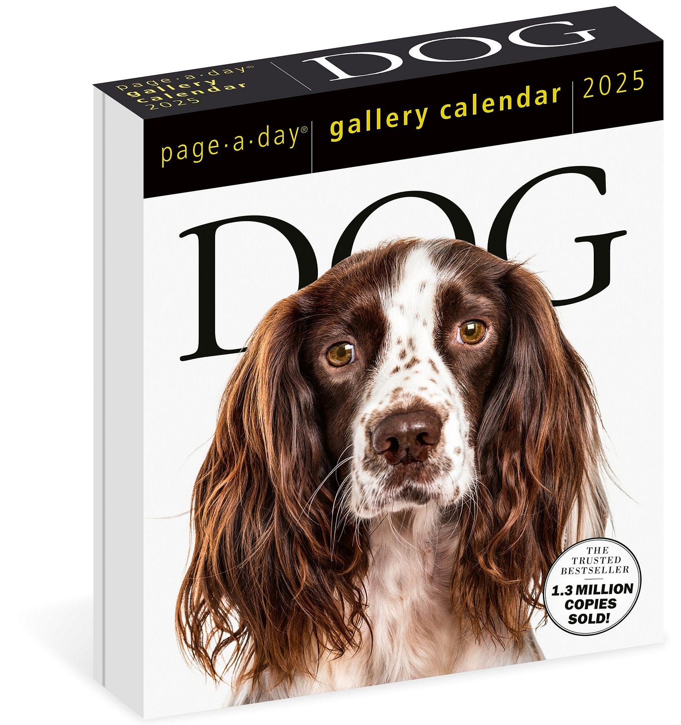 Read 365 Cats PageADay® Calendar 2025 The World’s Favorite Cat