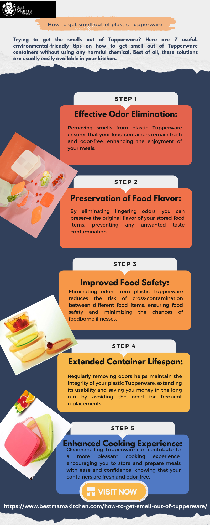 How to Get Rid of Ants in the Kitchen Best Mama Kitchen Medium