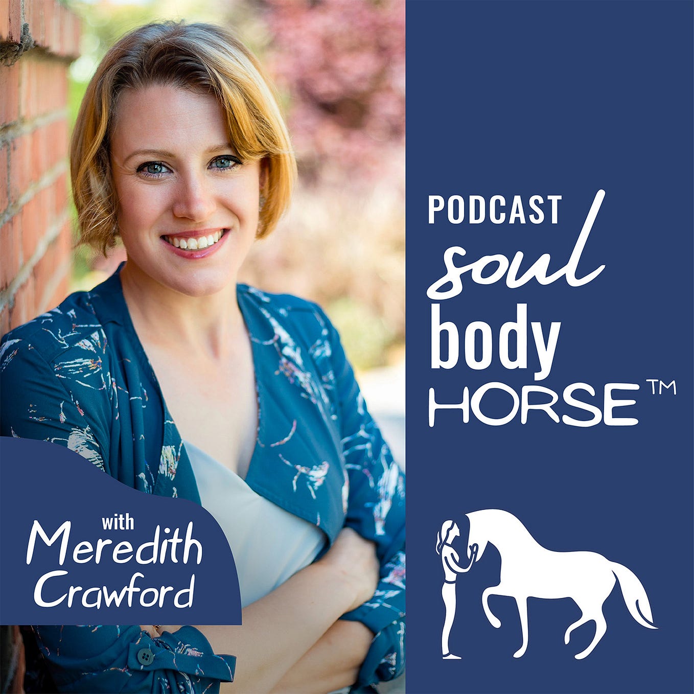 Explore Equine Healing Modalities for Spiritual and Physical Wellbeing