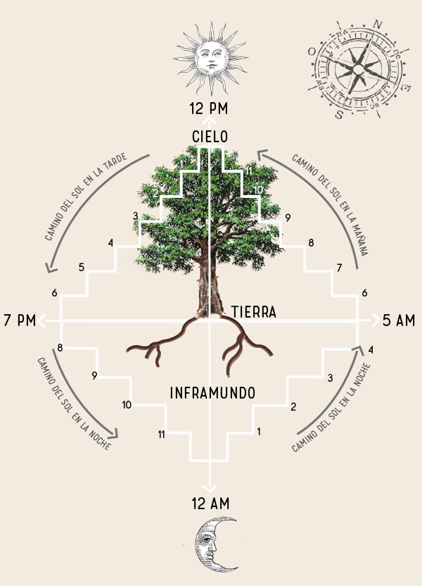 Ya’xché: The Mayan sacred tree