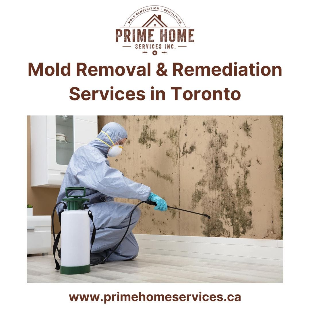 Topeka - Mold Inspection & Removal | ServiceMaster Restore