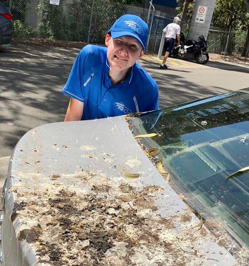 Discover Superior Mobile Car Detailing in Salisbury, Brisbane! austdg