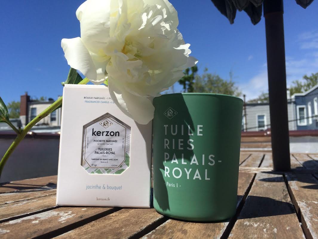 Walk a Dog. It’s nice. by Kelly Conaboy The Hairpin Medium