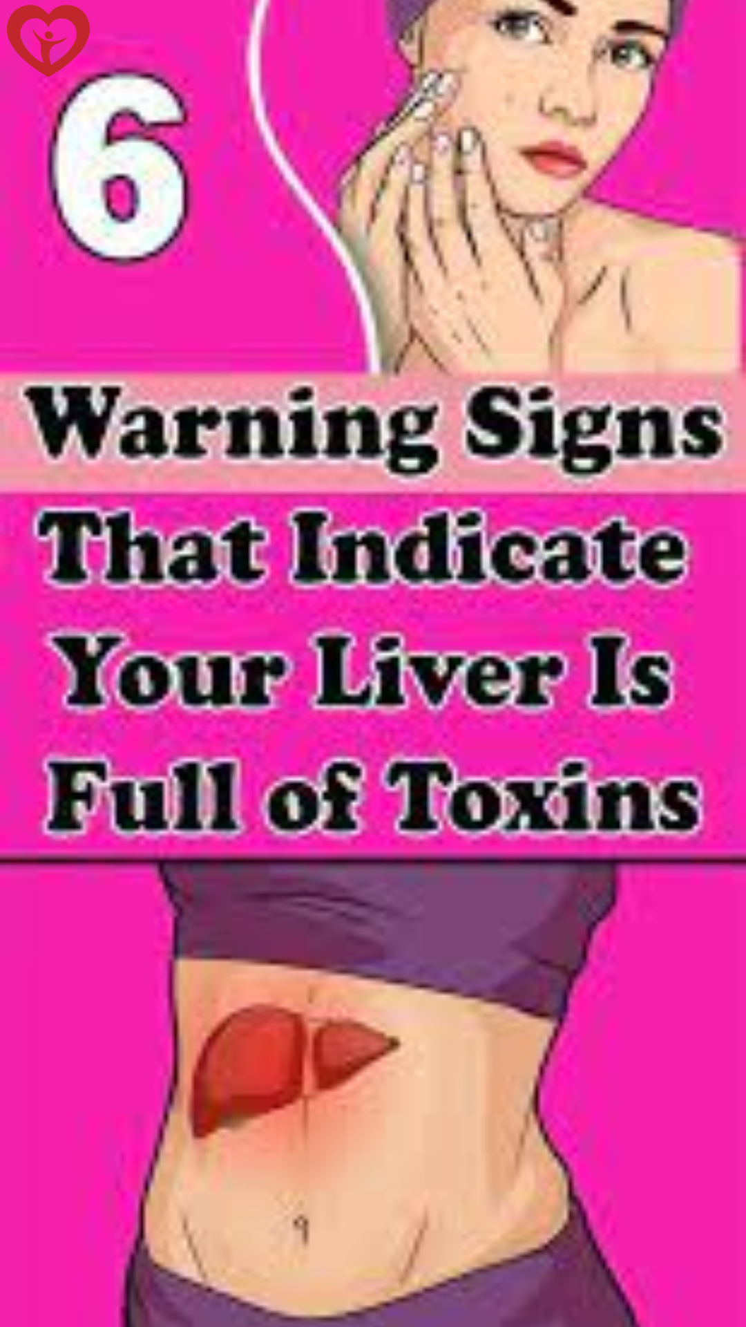 The largest solid organ in the body is the liver and its main function