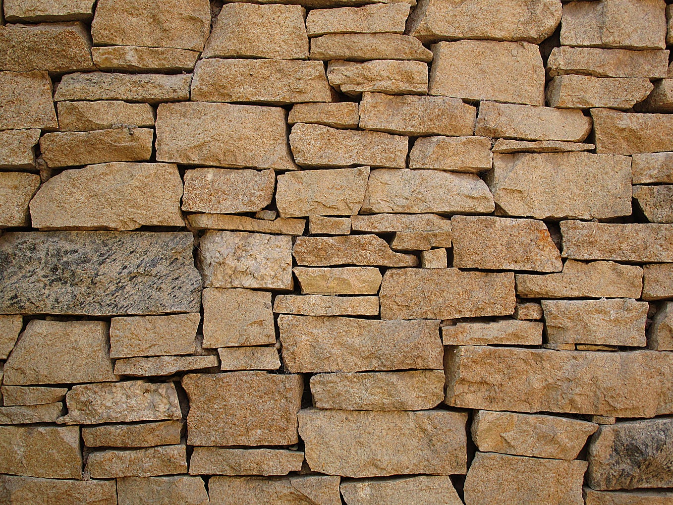 How to update all npm packages in your project at once by jhey