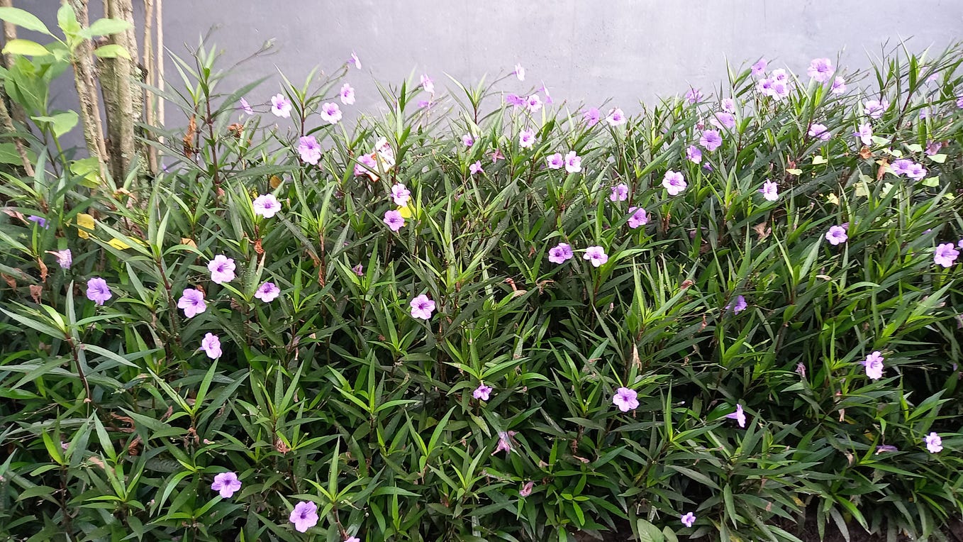 Why You Should Read Animal Farm