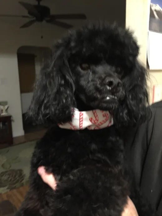 It was fake. It was someone impersonating a writer on this platform