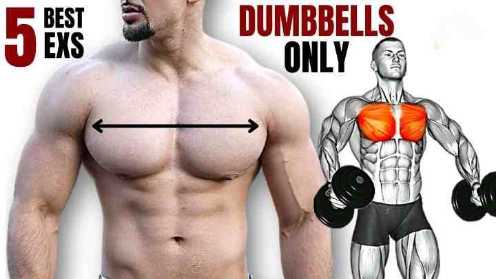 Bicep And Chest Workouts With Dumbbells