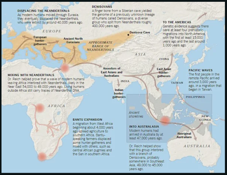 Ancient North Eurasians (ANE) and their origin by Jacob Harringer