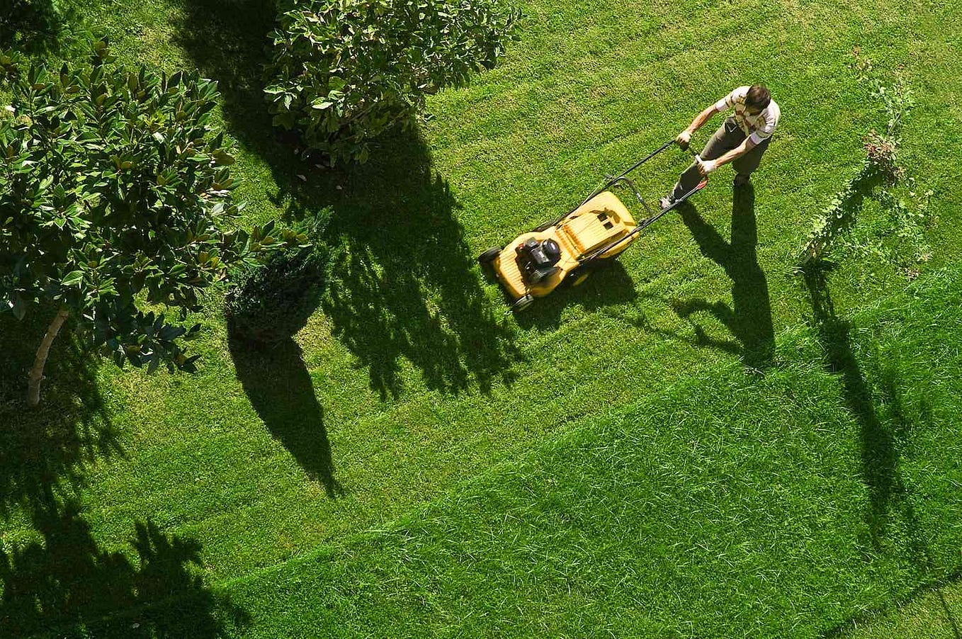Deerpark lawn mower hot sale