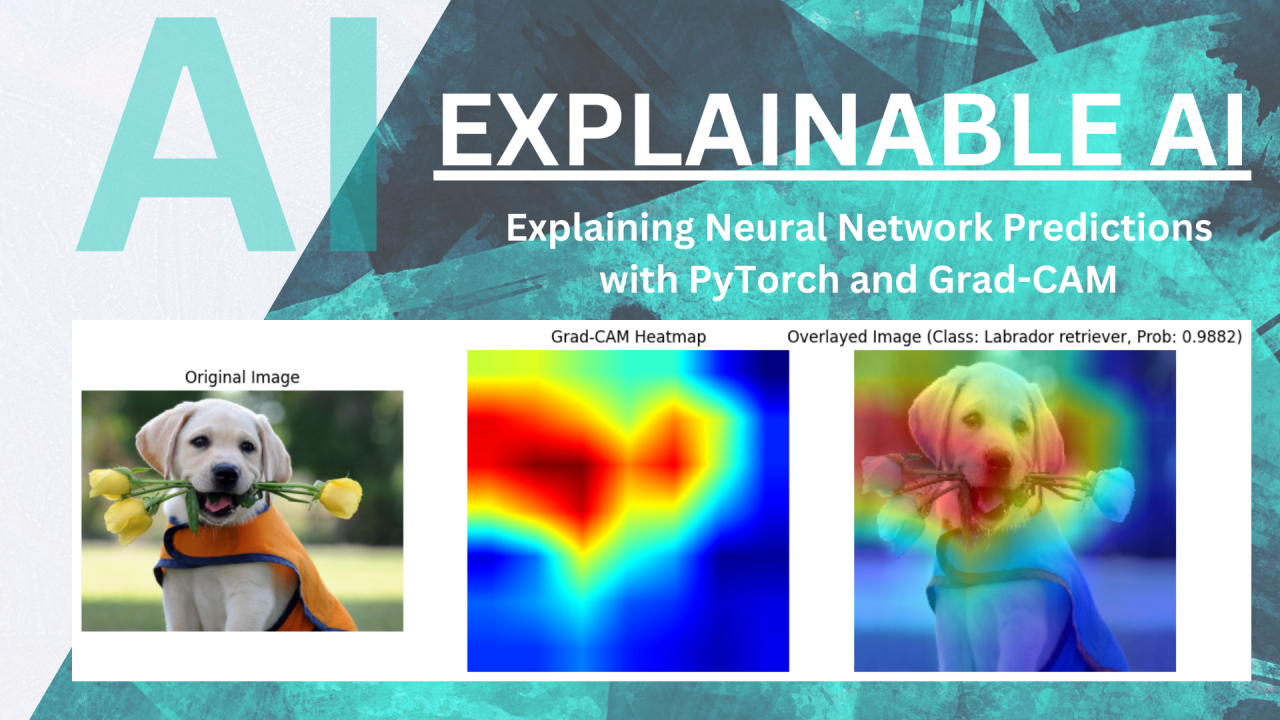 Explainable AI with PyTorch and Grad-CAM