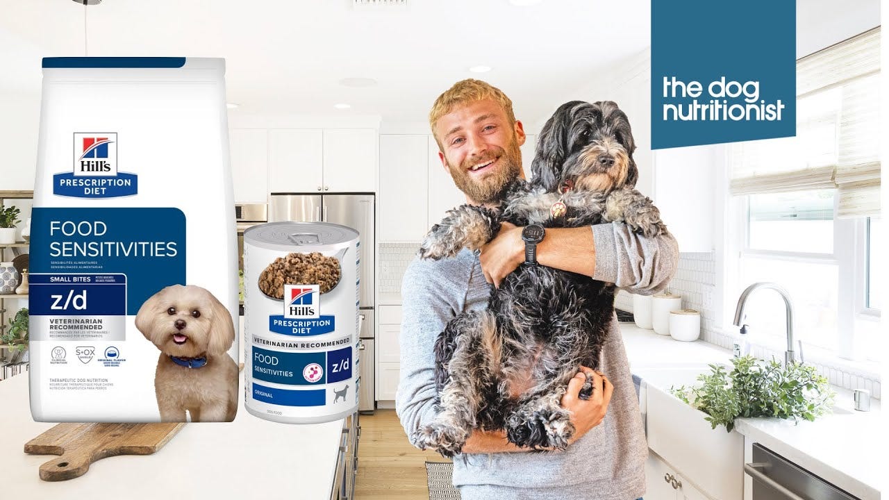 Purina Gastrointestinal Dry & Wet Dog Food Review — The Dog