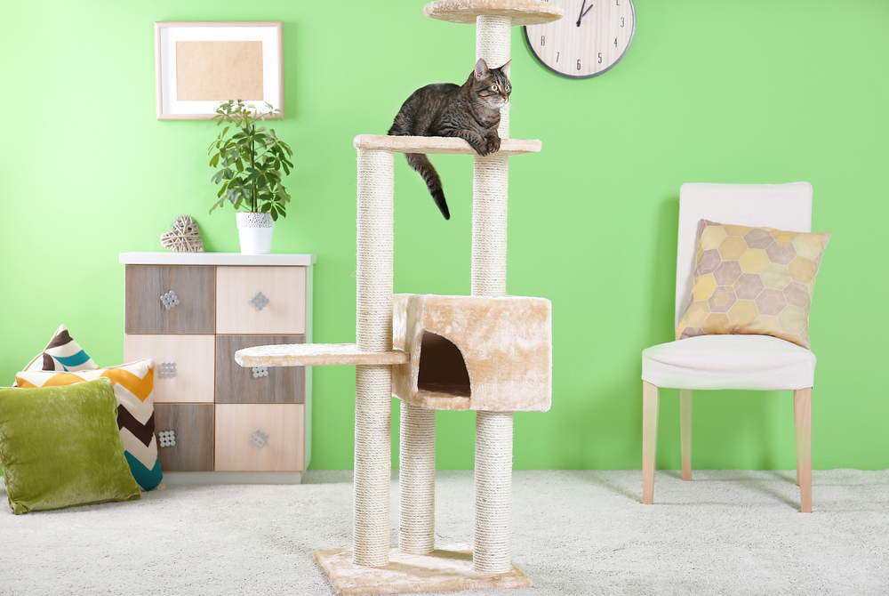 Do Cats Like Modern Cat Trees?. The main reason for cats to love… by