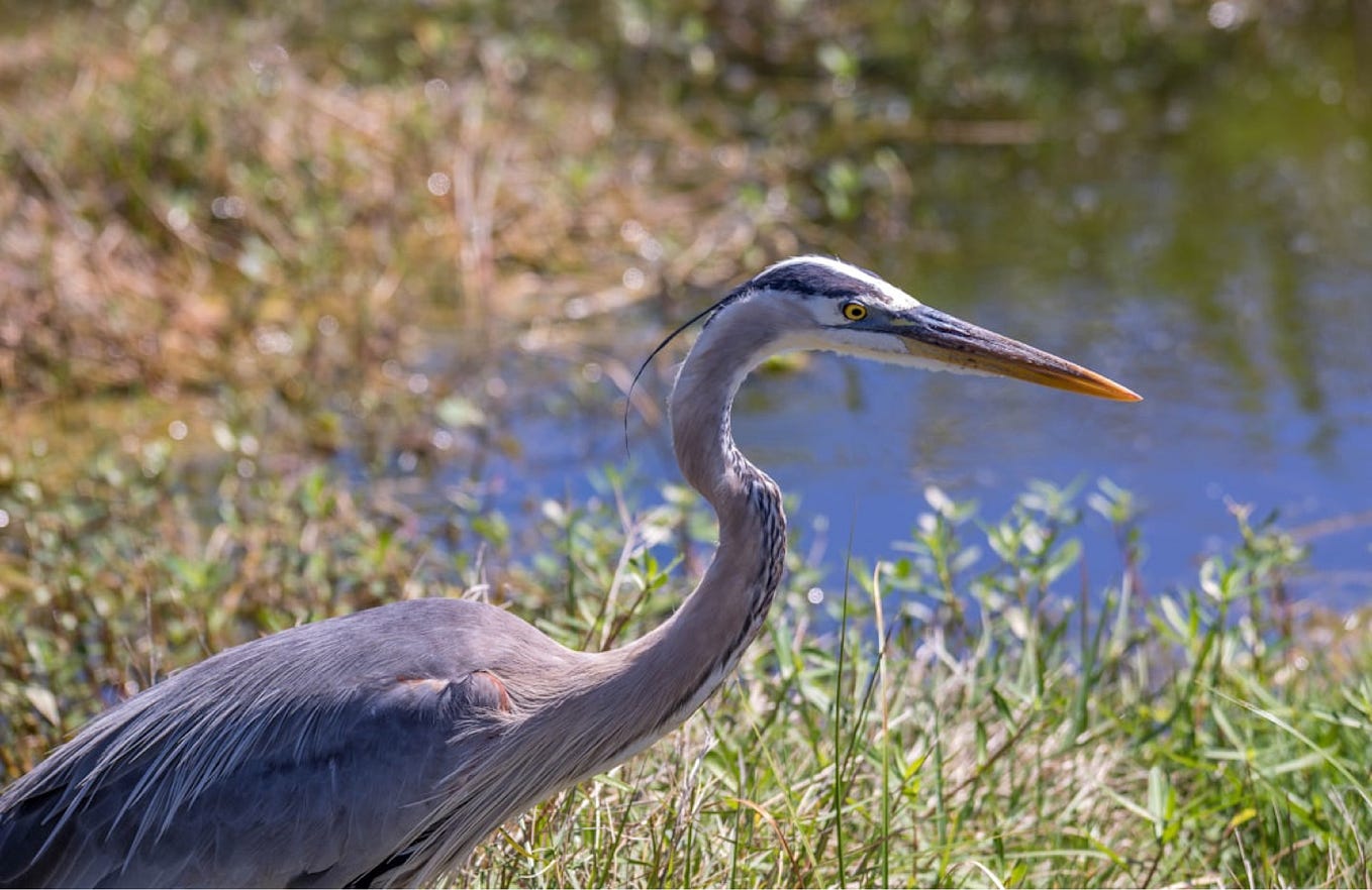 You are right! There is more art inside her to express! ️ Thank you!🙏