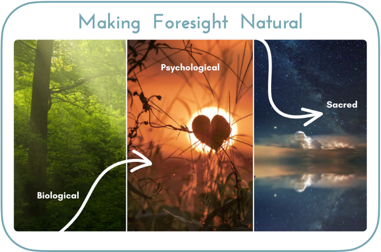Making Foresight Natural: Embracing the Biological, Psychological, and Sacred Dynamics of Futuring…