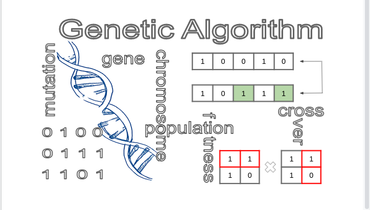 Introduction to Genetic Algorithms — Including Example Code | by Vijini ...