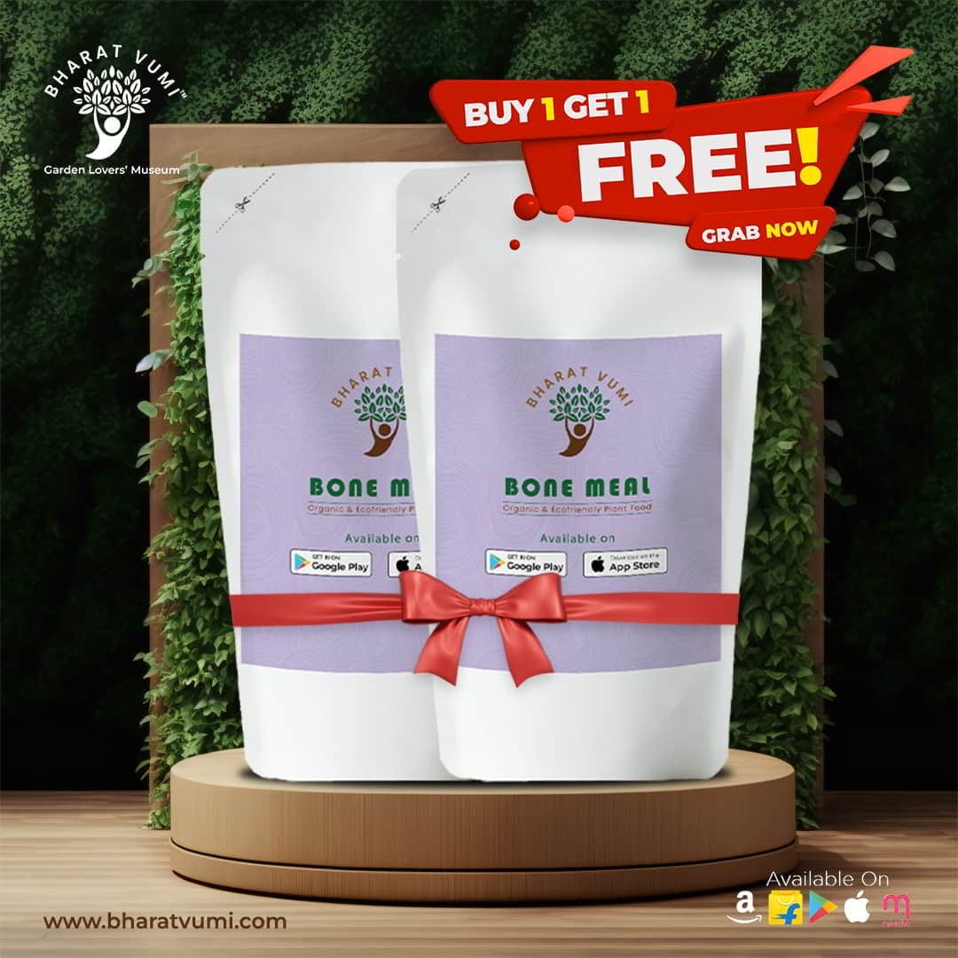 The Best Online Garden Store in India bharat vumi Medium