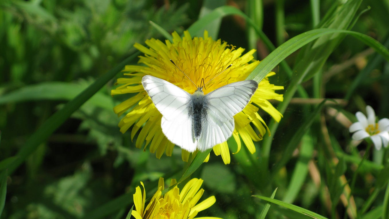 The Rhythm of Existence Time, Connection, and Meaning by Quinn Perry