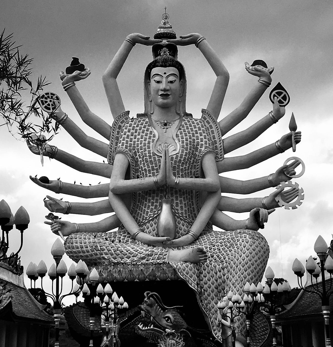 great shot! Sandi Parsons Medium