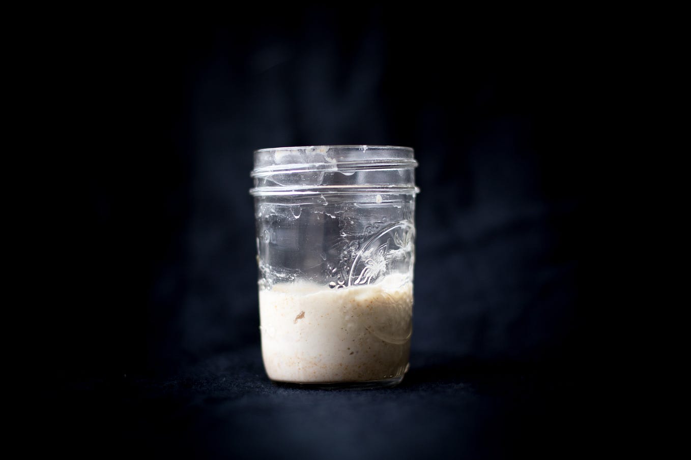 Sourdough starter from the Rob Dunn Lab at North Carolina State University
