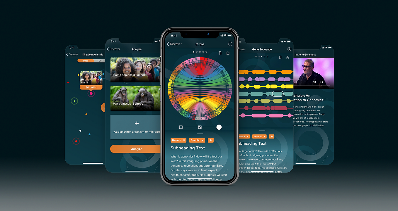 UX/UI Case study: Loneliness & Social isolation | by Maria Mercedes ...