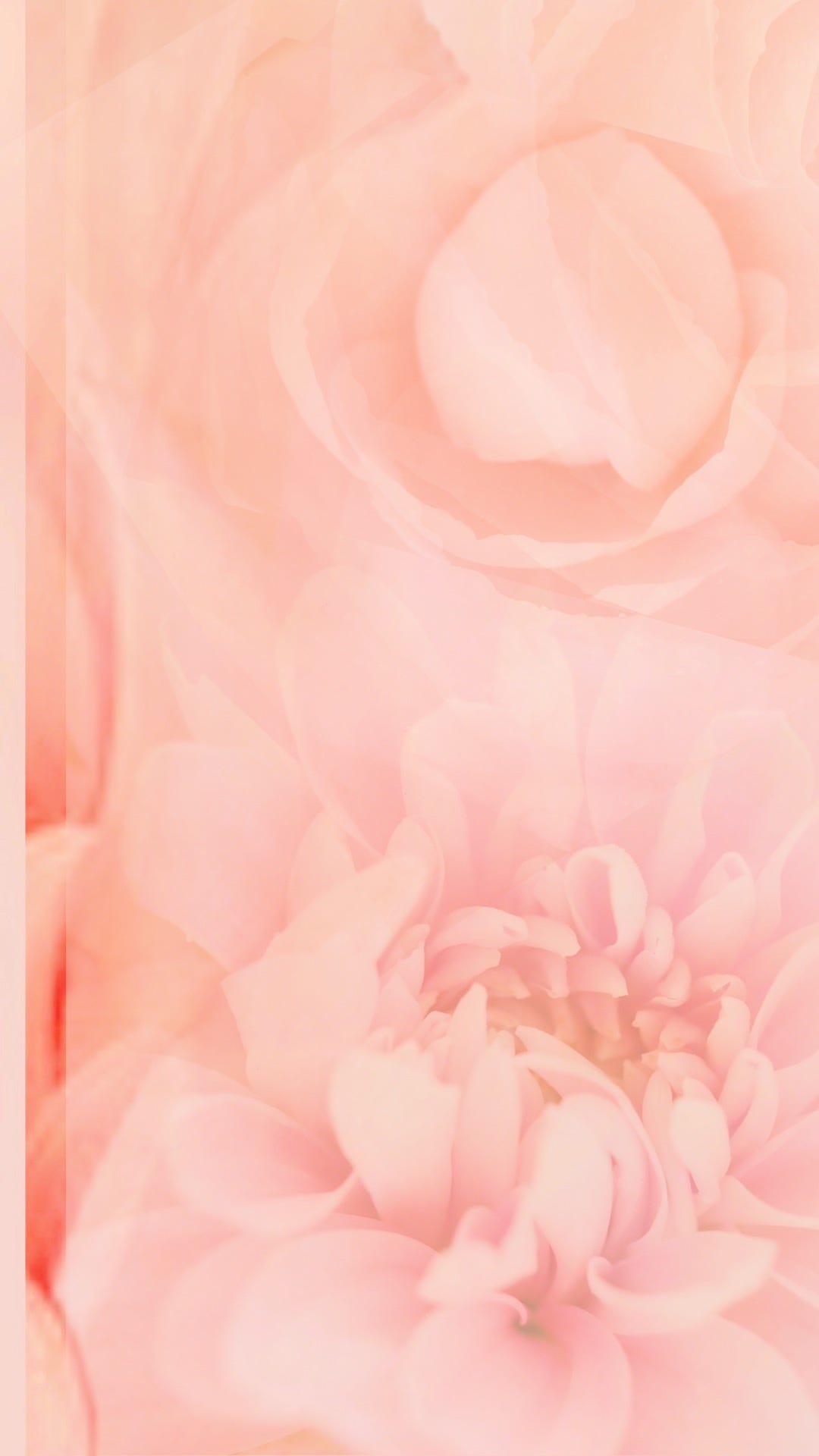 Flowers Fine Art And Design Fill The Silken Hours Before Dawn By