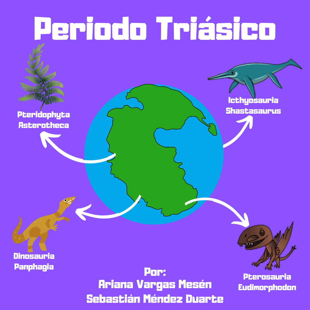 Homo erectus. La vida inteligente | by Capudinos | Medium